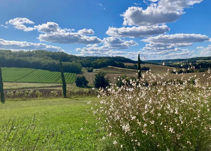 Chez Berger, 2 Persoons Gastenkamer, 1 Hond Toegestaan In Overleg Bed & Breakfast Flaugnac