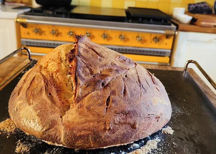 Chez Berger, 2 Persoons Gastenkamer, 1 Hond Toegestaan In Overleg 3*