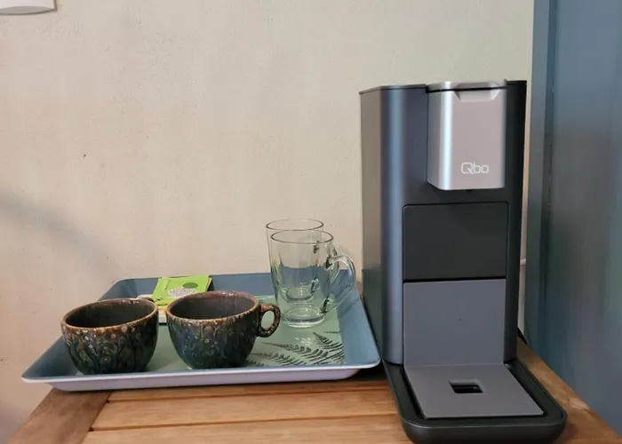 Chez Berger, 2 Persoons Gastenkamer, 1 Hond Toegestaan In Overleg Flaugnac